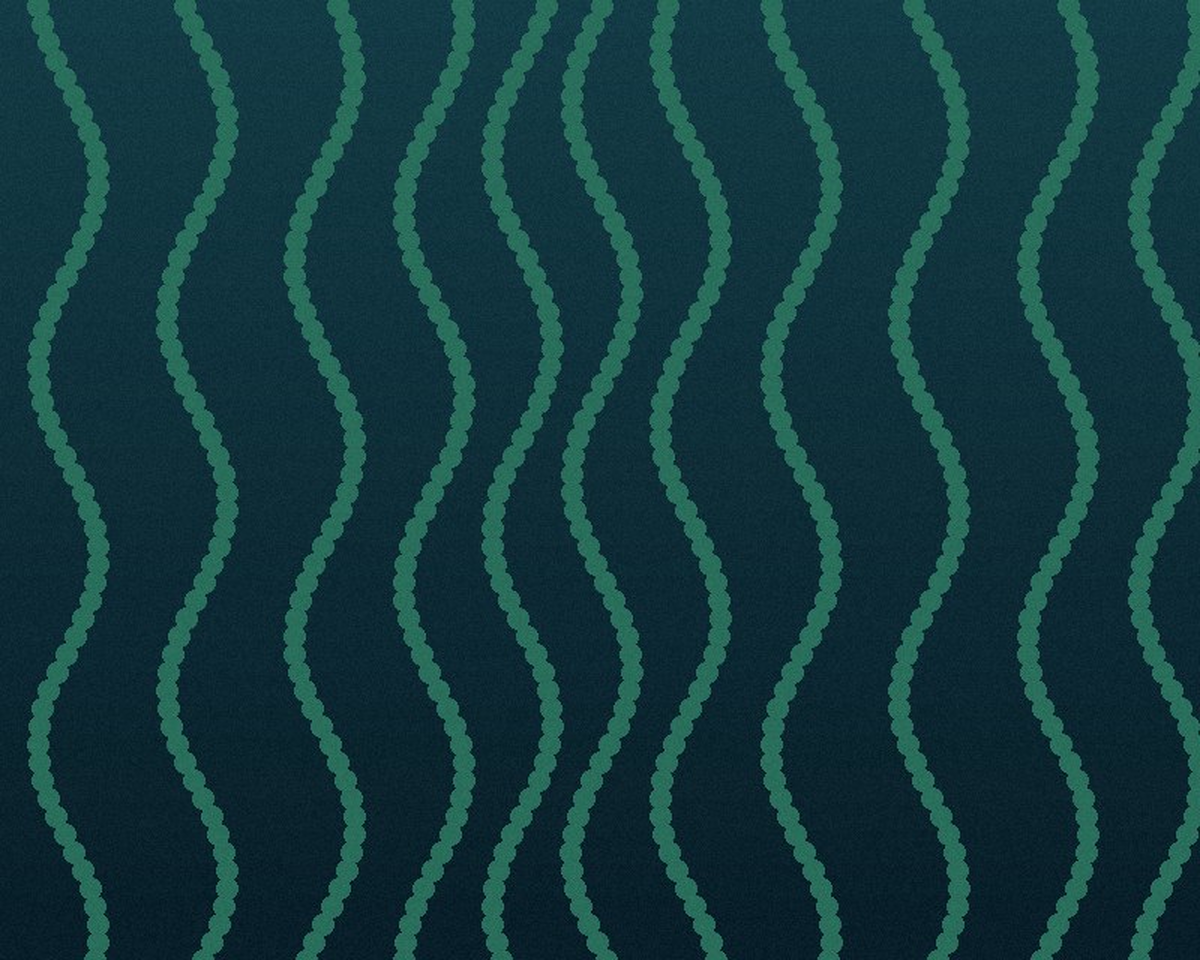 Kelp packaging